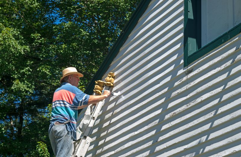 Siding and Cladding Painting